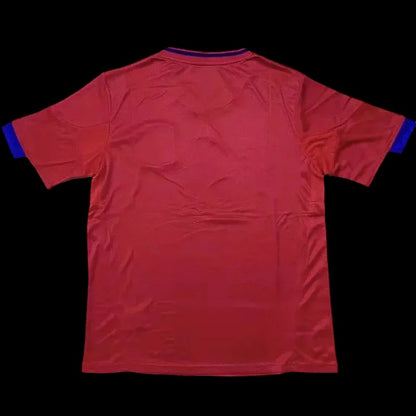 Spain 2010 Home Kit