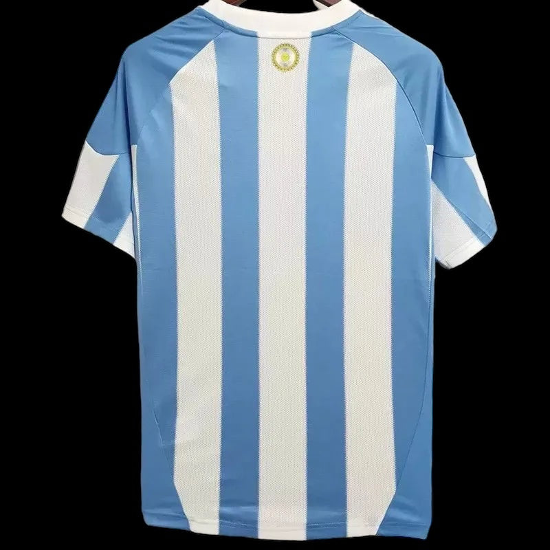 Argentina 2010 Home Kit